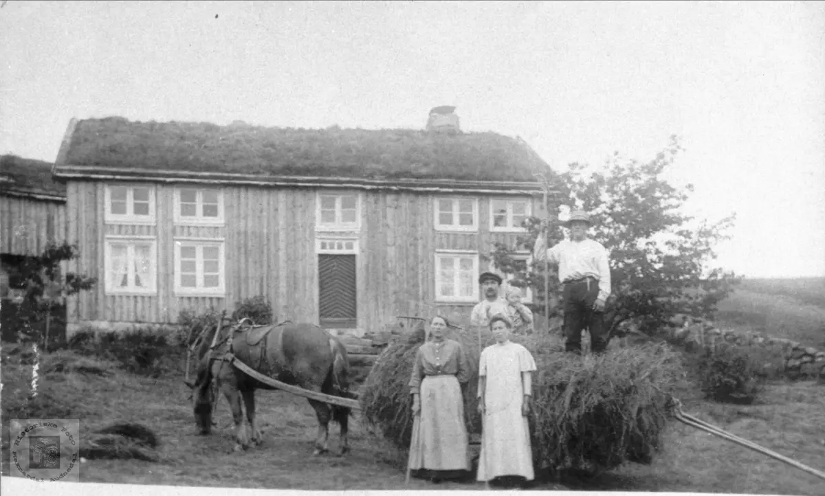 Høying på Solberg, Bjelland.