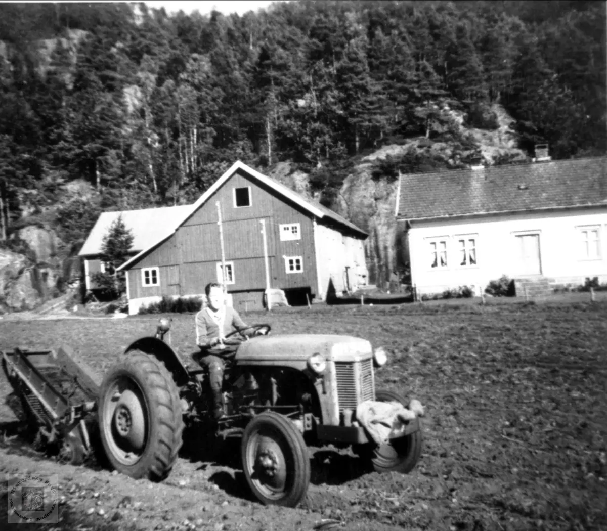 På traktor. Odd Aukland, Laudal.