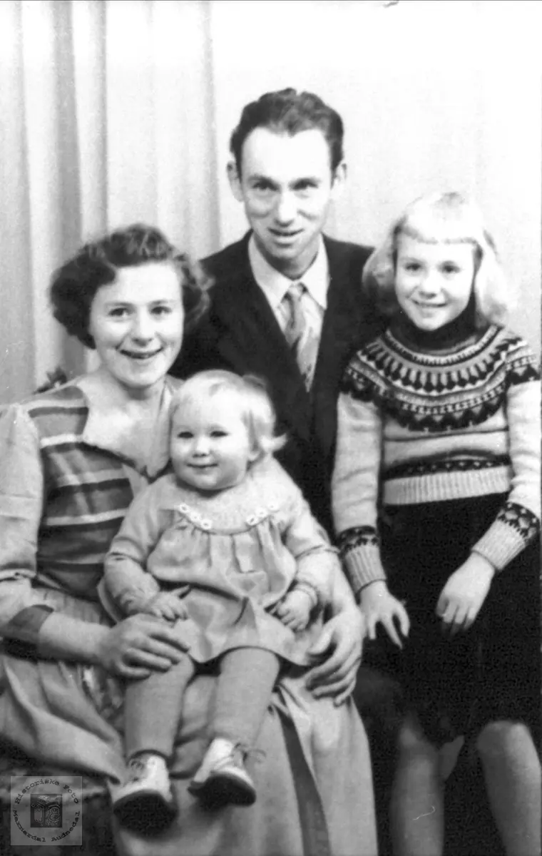 Familen Høye