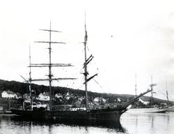 Bark 'Berean' (b.1869) ved Langesund.
