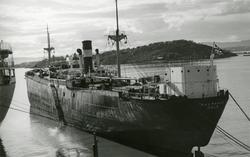 M/S Max Manus  (Ex. Troma) (b.1937, Wm. Doxford & Sons Ltd.,