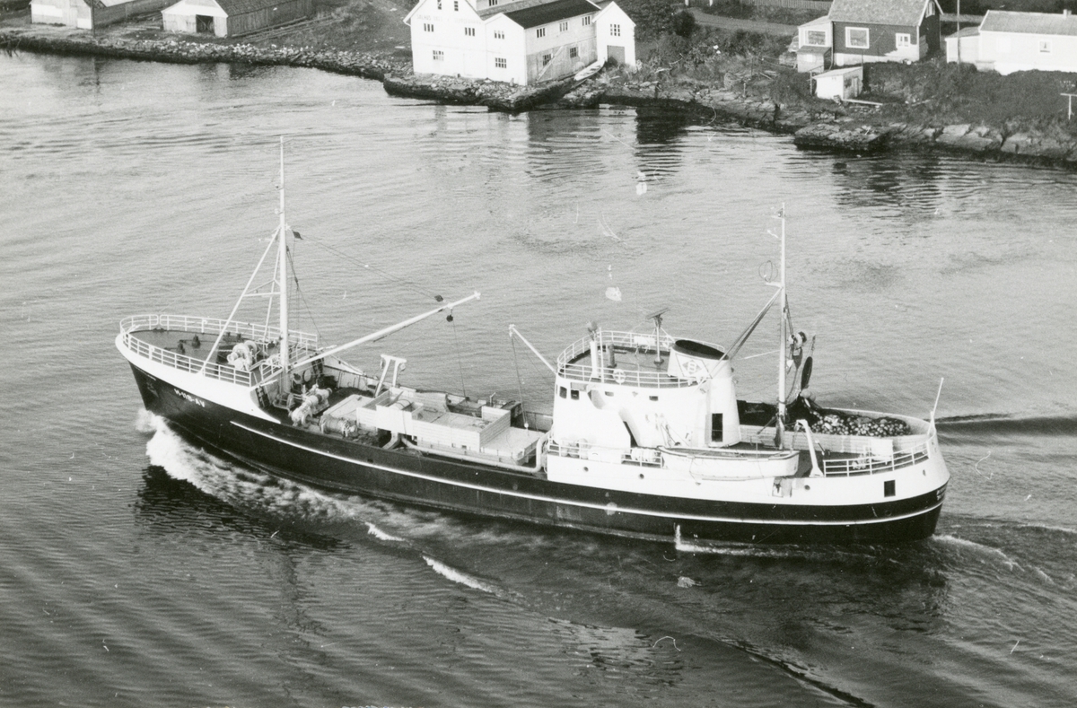 M/S 'Birkeland' (Ex. H/F D/S Southern Guider)(b.1950, Smith’s Dock Co. Ltd., Middlesbrough), - ved Karmsund.