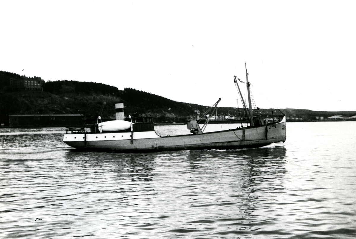 M/S Denofa 3 (b.1929, Moss Værft & Dokk, Moss)