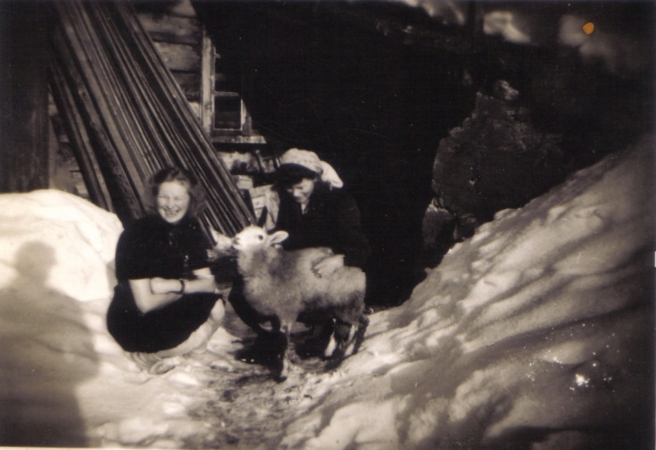 Samling fotografier etter Olga Beldo f. Eliassen