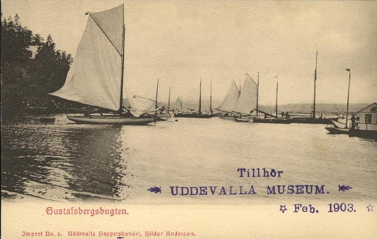 Tryckt text på vykortets framsida: "Gustafsbergsbugten."