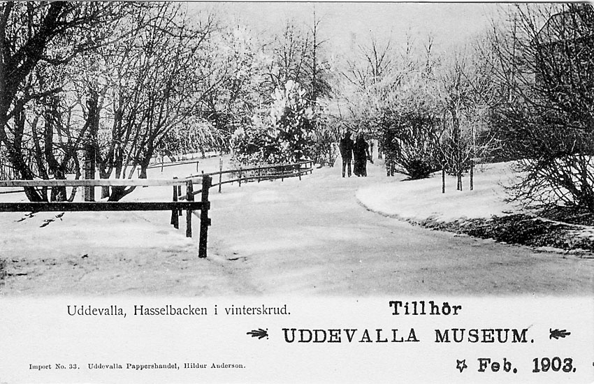 Tryckt text på vykortets framsida: "Uddevalla. Hasselbacken i vinterskrud".