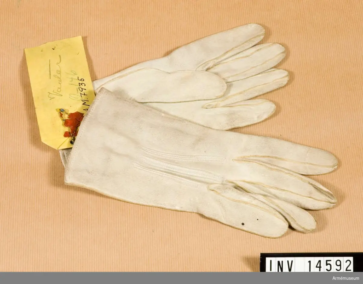 Grupp C I
Handskar av vitt sämskskinn med fem fingrar. Handskarna knäpps med mässingsknapp. På handskarnas innersida stämplar med påskriften: "WHD" (uppåtriktad pil över H) "1893" "Monly & Gloves" (Gloves - handskar) "Woode & Tock" - firmanamn. Handskarna har en pappersetikett med påskriften: "Generalintendentens expedition DK 170/1894. England. 1 pair Glauves (handskar) Pris: 2 s. 1 d.".