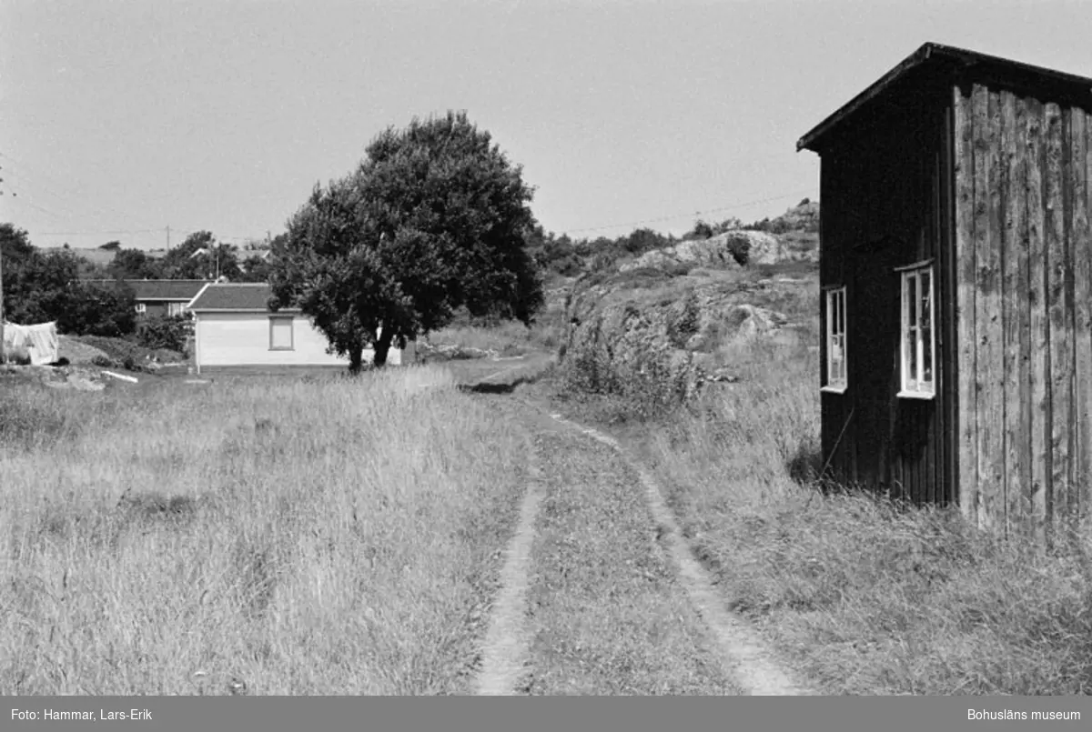 Motivbeskrivning: "F.d varv i Skredsvik, på bilden syns smedjan."
Datum: 19800717
Riktning: N
