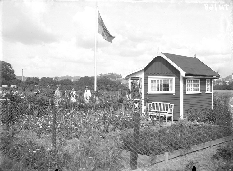 "Kolonistuga på ängarna söder om Walkesborg, Uddevalla. Trädgård med blommor och flaggstång"