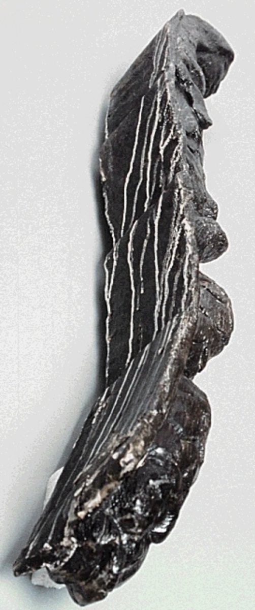 Nereid med huvudet täckt av ett dok eller dylikt. Kring midjan sitter ett ovalprytt band. Bandet tycks vara hårt åtdraget och ger figuren därigenom kvinnliga former. Armarna är reducerade till upprullade bladflikar. Skulpturens fiskstjärt slingrar sig kring stjärten till en fisk eller en delfin vars huvud är synligt vid skulpturens fotända.

Bakstycket är kraftigt och snidat i ett med skulpturen. Baksidan är försedd med hak eller urtag. Skulpturens profil är svagt S-formad.
Skulpturen är kraftigt sliten och anletsdragen i det närmaste utplånade.

Text in English: Nereid with head covered by a hood or veil. Round the waist there is a girdle or belt with an oval decoration. The arms are replaced by rolled-up leafy decoration. The lower part of her body consists of a fish tail that is entwined with the tail of a fish or dolphin whose head can be seen at the foot of the sculpture.

The backboard is robust and carved in one piece with the figure. The back side of the backboard is carved with hollowed out grooves. The profile is slightly S-shaped.
The sculpture is badly worn and the facial features virtually erased.