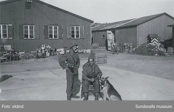 Norskt polistruppsläger, Bataljon 3