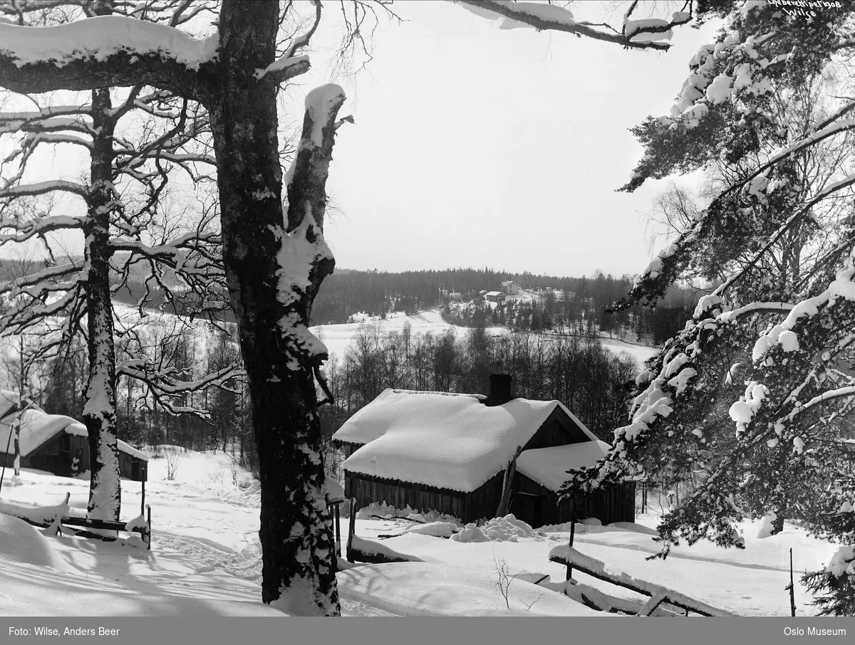 husmannsplass, skog, kulturlandskap, snø
