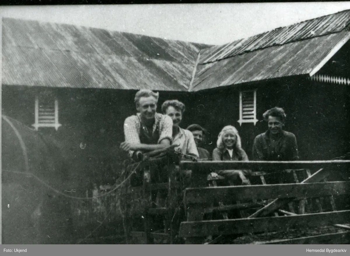Tre brør Aalrust i slåtten, Endre, Lars og Olav - pluss nokre byungar.
Fotografiet er teke i 1940.