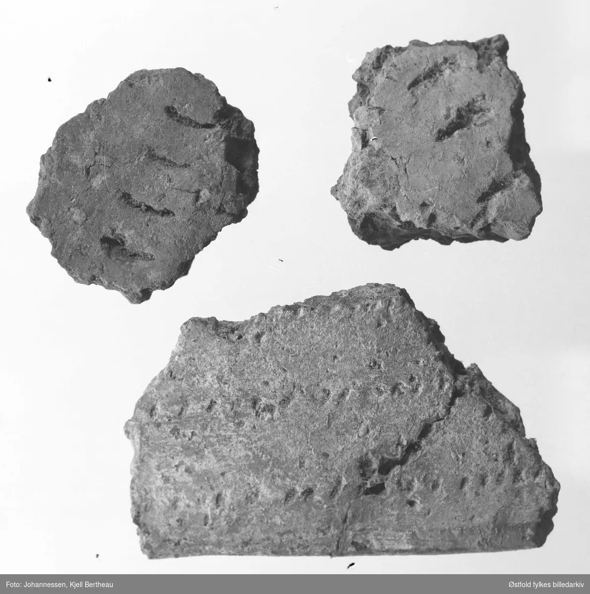 Arkeologiske gjenstander fra Edmund Rees samling på Jeløy, fotografert 1974. Traktbegerkeramikk med snordekor.