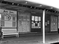 Østfoldutstillingen i Sarpsborg 1930.  Moss Avis, Smaalenens