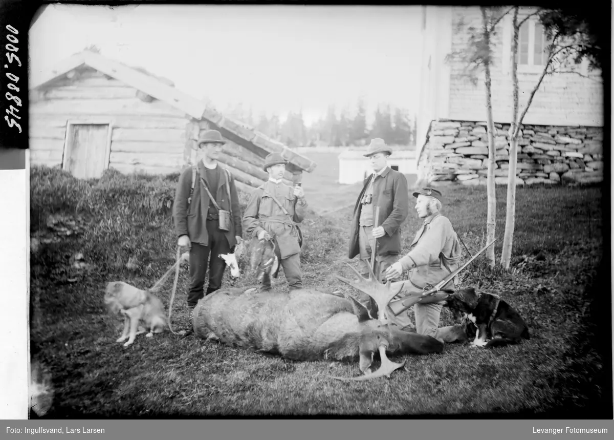 Et jaktlag på fire menn med en felt elg.