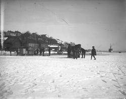 Folk og hester på isen ved vestre Øya 21/3-1917. Kragerø