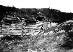 Tømmerhytter på Laukviksætra i Flatanger