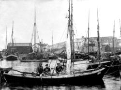 Sør-Gjæslingan, fiskebåter