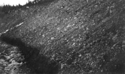 Utaste morenemasser etter Osfallskatastrofen i 1916, da elva