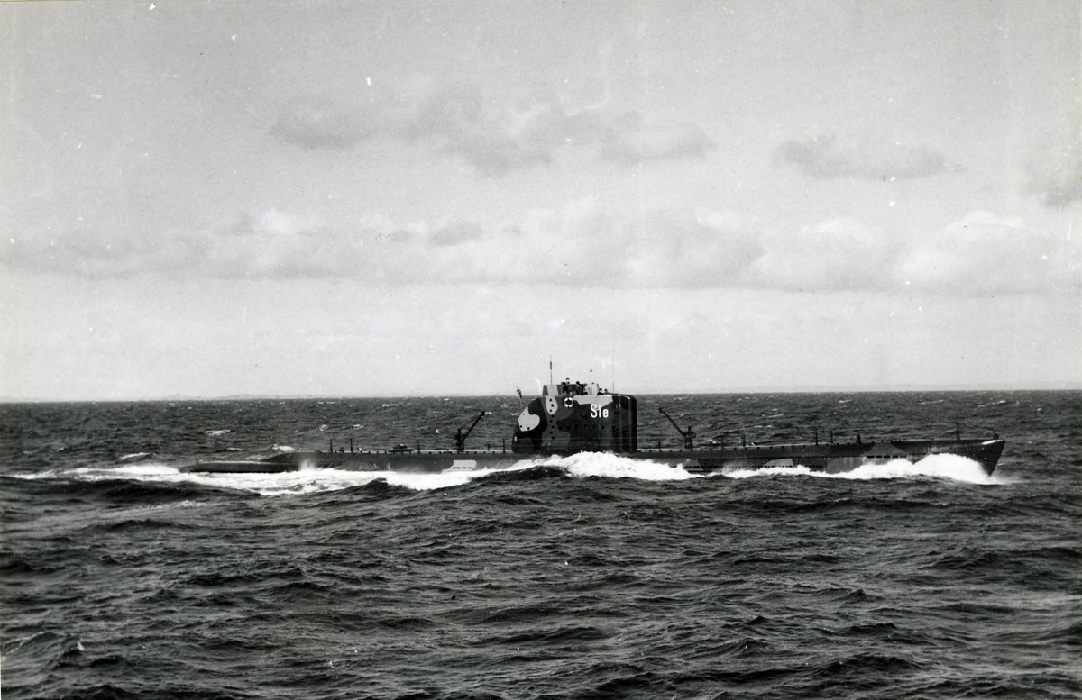 Ubåten Sjölejonet juni 1953.