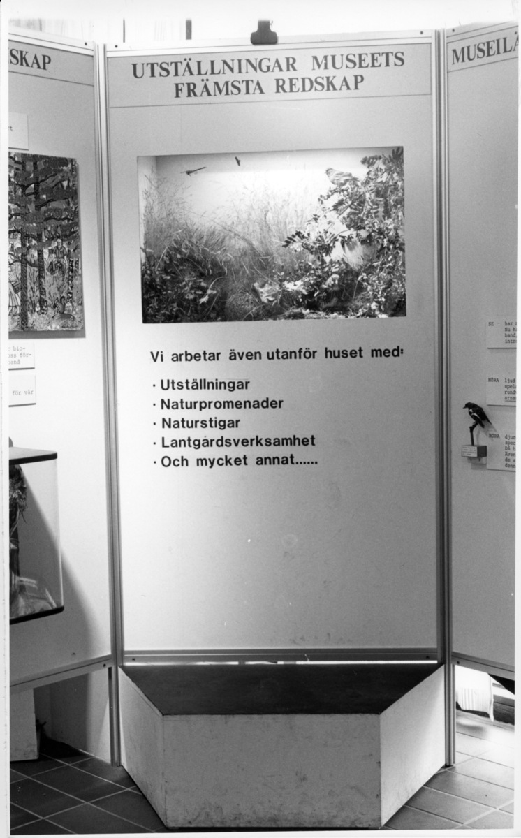 'Foto på Jubileumsutställningen, Göteborgs Naturhistoriska museum 150 år. ::  :: Utställningsskärm ''utställningat museets främsta redskap'' angående hur museet arbetar även utanför huset.'