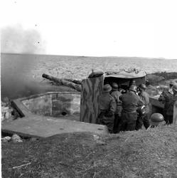 Kystartillerister bemanner kanon på Stangnes fort. Svartskjæ