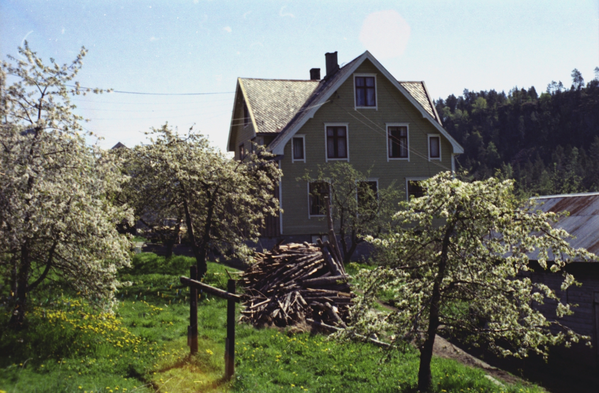 Ellinggarden på Overå. "Liabygdstova" som står på Sunnmøre Museum stod opprinnelig på denne gården.