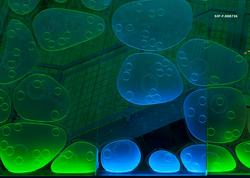 Glassflate som illustrerer bladets anatomi i utstillingen «D