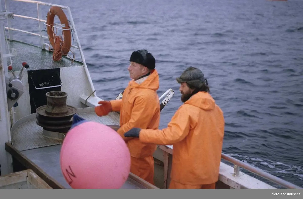 Lofotfiske. To menn i oljehyre i arbeid med å sette ut garn. Bildet er tatt ombord i garnbåten "Williksen Senior" av Vikna.