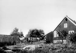 Bolighus i Buene, Sarpsborg med hagen i forgrunnen.