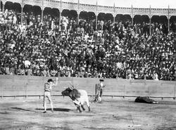 Tyrefægtning. Mexico