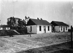 Pesten i Oporto o.l.