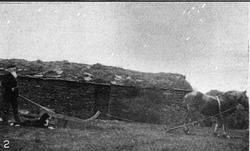 Pløying av åker, Orkenøyene