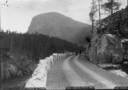 Bygdevei mellom fjellheimen og Garthus i Valders