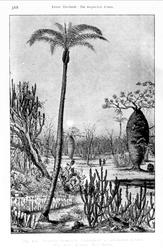 Plantens ernæring o.a. botan.