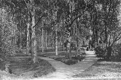 Finland, Norges Vel 28/2 23