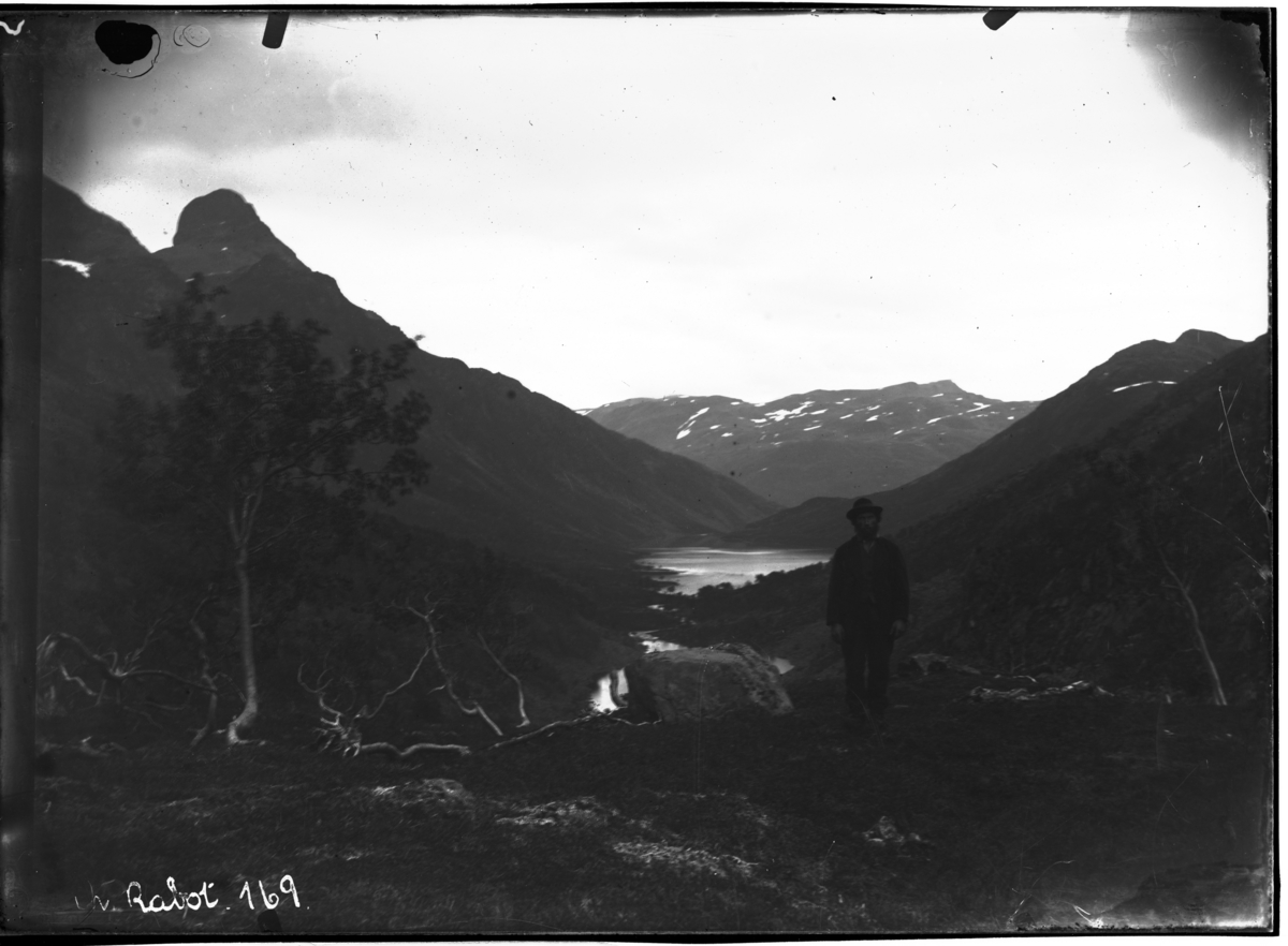 Vegetasjonsgrensen mellom Alteidet og Jøkelfjord, 1881?