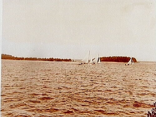 Segelsällskapets första segling i juni 1908 på Hjälmaren.
3 segelbåtar.