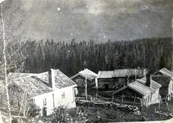 Garden Eikrehagen, 51.19, i Hemsedal, ca.1919.