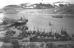 Hammerfest havn med hurtigruteskipet VDS "Lofoten" ved kai. 