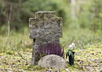 Gravstein i korsform. Graven er nummerert med nr. 9. Foto/Photo