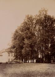 Eidsvollbygningen bak trær.