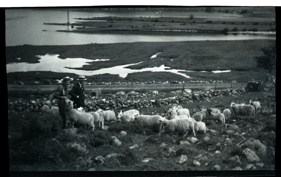 Tur til Mork i Høle (frå 1965 i Gjesdal) sommaren 1919. Ola Auglend og Anton Tegle (1900 - 1982) studerar smalen.