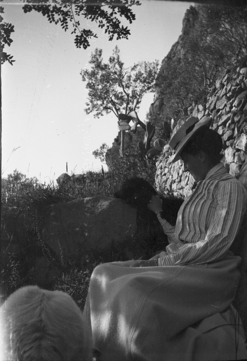 Drottning Victorias bilder. Möjligen hovdam. Troligen Capri.
