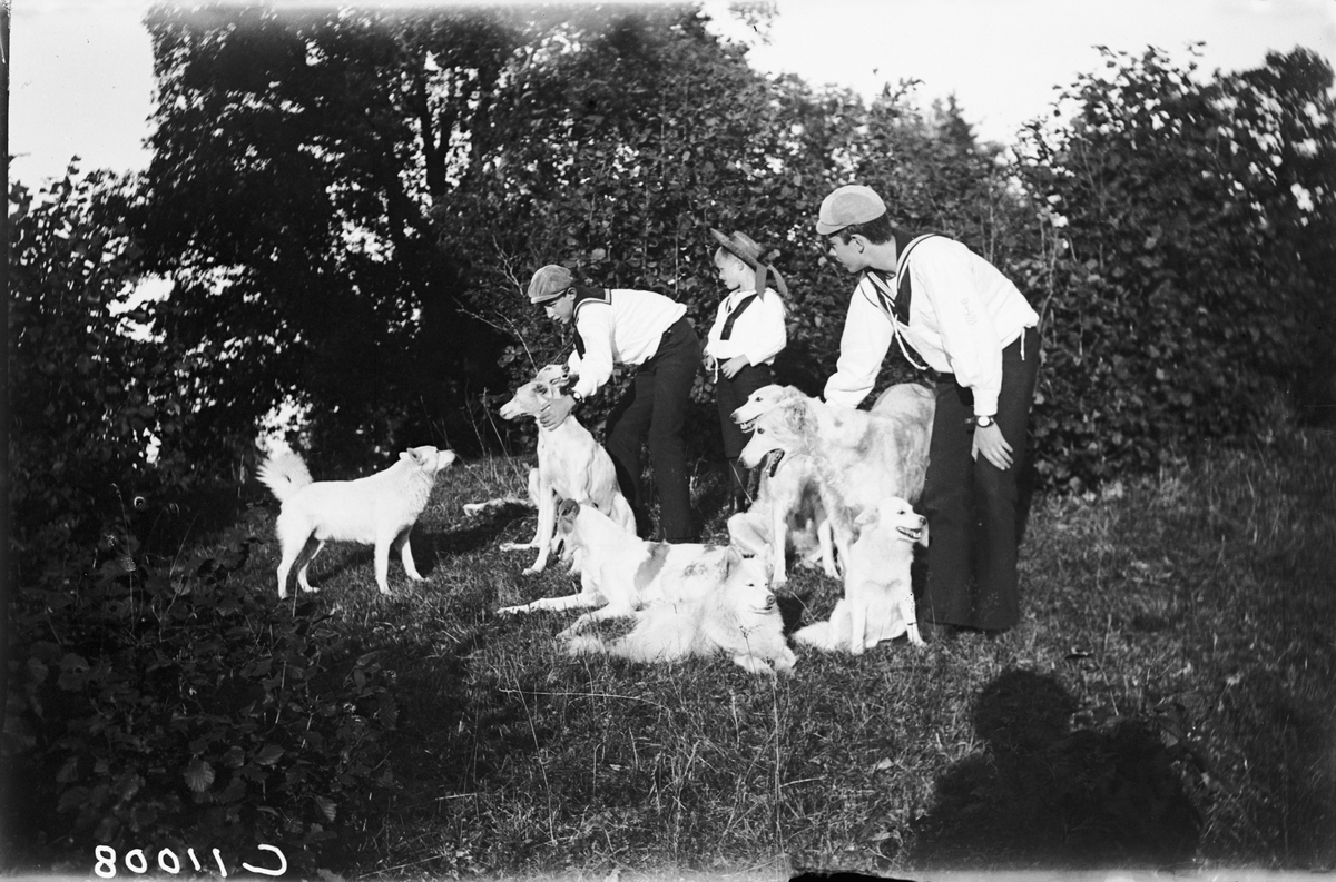 Drottning Victorias bilder. Prinsarna Wilhelm, Erik och Gustaf Adolf lekande med hundar.