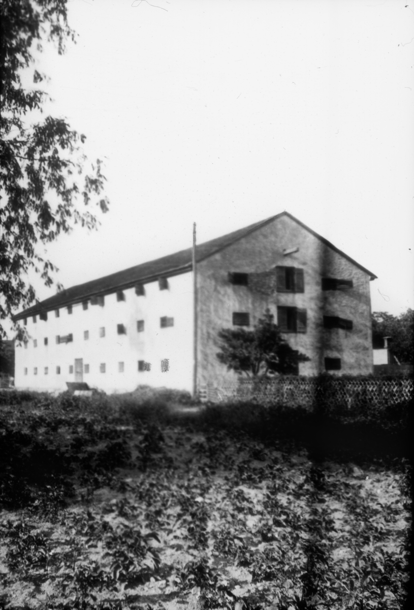Ljusbild, fotografi från Nordiska arkitekturmötet på Gotland 1920.