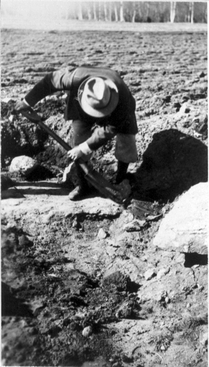 Hilding Svensson gräver ut grav nr 2.