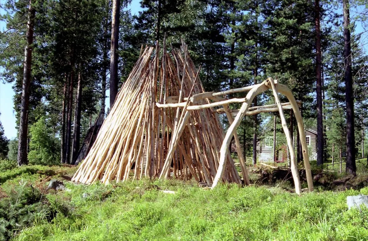 Fra bynninga av vintergamma. Her har bæreskjelettet på gangen kommet opp.