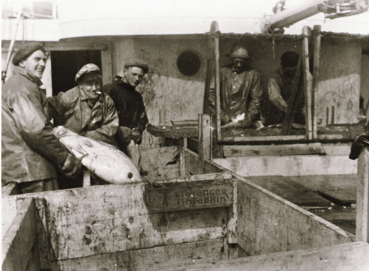 Mannskap på M/K "Glannøy" med en stor fisk.
ca 1958